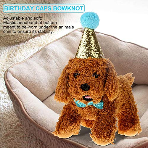 Wifehelper Bonito sombrero de cono de fiesta de cumpleaños para perro y pajarita collar de lentejuelas, Mini lindo gato para mascotas Perro Decoración (azul)