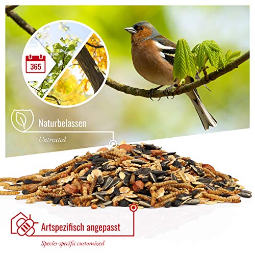 wildtier herz I Alimentación para Pájaro - 2,5kg con Insectos - Comida de Aves para Alimentos, Proteína Extra