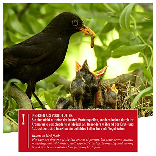 wildtier herz I Alimentación para Pájaro - 2,5kg con Insectos - Comida de Aves para Alimentos, Proteína Extra