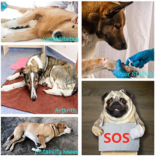 WXFEXIA Protector de codo para pierna delantera para perro, protección de heridas y esguinces debido a la artritis para prevenir lesiones y esguinces o caminar (L)