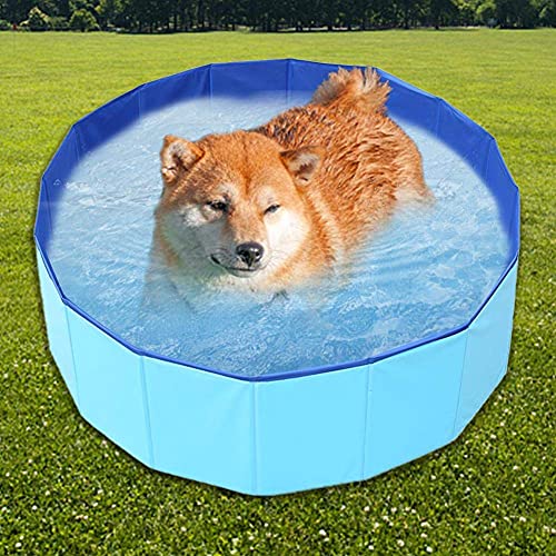 XIAOXIA Plegable al aire libre portátil cuenca Golden Retriever baño gato baño cubo mascota piscina perro baño