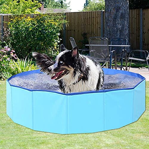 XIAOXIA Plegable al aire libre portátil cuenca Golden Retriever baño gato baño cubo mascota piscina perro baño