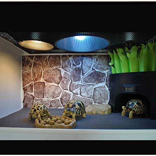 Xu-pet Humidificación del Reptil escondite, de los Ornamentos del Reptil Cueva Box-Hábitat Esquina decoración del Lagarto Tortuga Hideouts Reptil Caja de Accesorios (Color : White)
