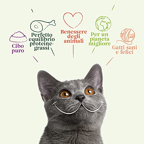 YARRAH Paquete de alimentos orgánicos para gatos – Menú variado para tu gato con tres sabores de paté sin granos – para todos los tipos de gatos, desde gatitos hasta gatos mayores – 100 g (Pack of 8)