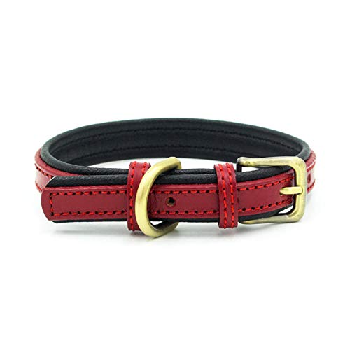 YHZY Collar De Perro De Cuero Genuino De 5 Colores Accesorios para Mascotas Ajustables para Perros Pequeños Gatos Collares De Cachorro Shih Tzu-Red_L (37-47Cm)