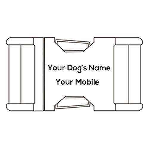 Yisatann Correa para Perros Collar para Puede Grabar Nombre Correa de Collar de Perro de Nylon Correas de Productos para Mascotas Cuerda de tracción de Metal-S