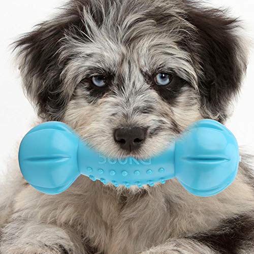 YongliJc Juguetes para Masticar Perros, Juguete para Masticar Perros, Juguetes Seguros con Mancuernas TPR para Perros Grandes(Azul)