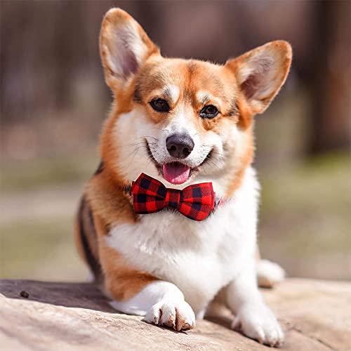 YUEHAN Collar De Perro Perro Pajarita A Cuadros Perro Collar Gato Pajarita Ajustable Suave Mascota Bowknot Collar para Perros Pequeños Medianos Cachorro Gato Mejor Regalo Chihuahua