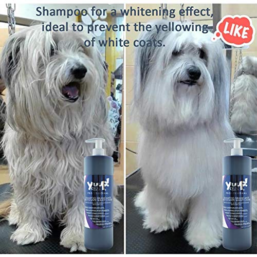 Yuup!® Champú profesional para el cuidado del color para el pelo blanco, botella de 1 litro