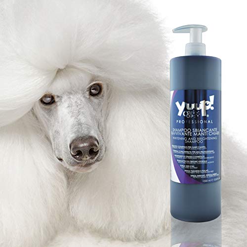 Yuup!® Champú profesional para el cuidado del color para el pelo blanco, botella de 1 litro