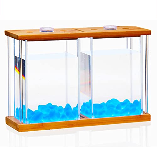 ZHANGJINYISHOP2016 Tanque de pescado creativo bilateral vidrio transparente Betta pecera rectangular pequeño ornamental tanque de peces planta de agua tanque oficina hogar acuario kits de inicio