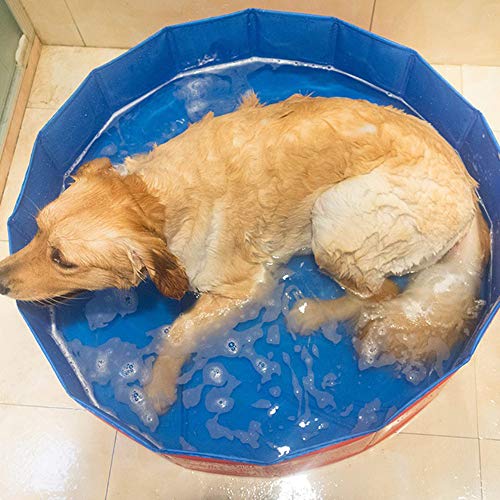 ZHXY Bañera para Perros Bañera Plegable Golden Retriever Bañera para Mascotas dedicada Bañera Grande para Perros Cubo de baño Suministros para Gatos