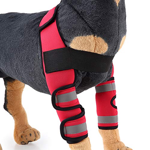 Zunea Dog Pierna Canina Braces Codo Protector Reflectante Recuperación de Perro Manga de compresión para cicatrización de heridas Mascota Pierna Frontal Warp Support Prevención de Lesiones Rojo M
